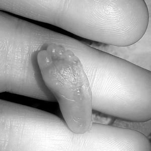 Meet your Posher, Ann